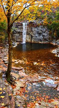 Image of Fall vibes in forest with large waterfall going over cliff edge