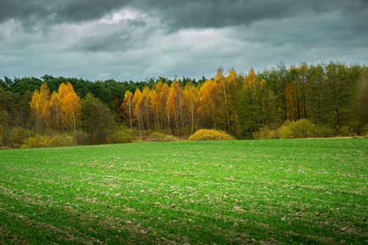 Cloudy sky over the autumn forest and a winter field, October rural landscape