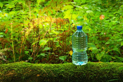 Single Plastic Bottle with Water in the Forest