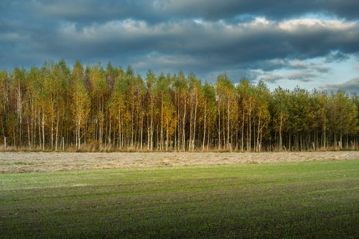 Cloudy sky over the autumn forest and farmland, eastern Poland