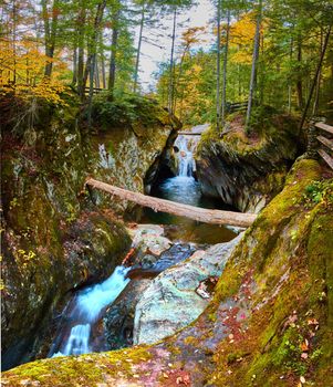 Image of Panoramic view eye level to waterfall raging through narrow mossy gorge in fall Vermont forest