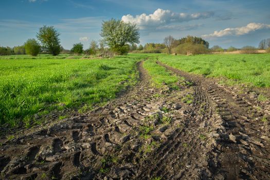 View of the muddy road and green meadows in spring, Eastern Poland