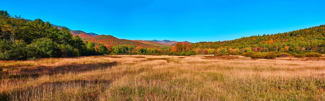 Image of Panorama of golden fields and peak fall mountains in New York