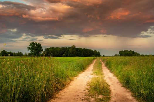 View from the country road to green fields and colorful evening clouds