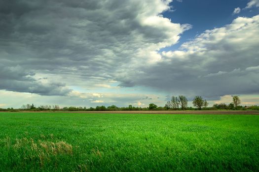 Green rural field and clouds on the sky, Nowiny, Poland