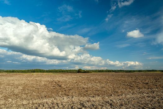 White clouds on a blue sky above a plowed field, summer rural view in the eastern Poland