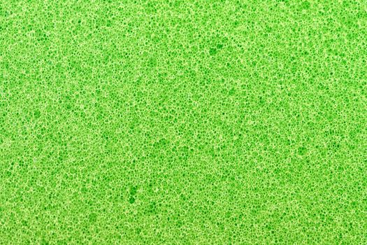 sponge detail texture, sponge texture background