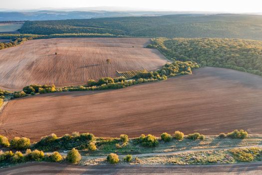 vast aerial view from drone to countryside with agricultural fields. 