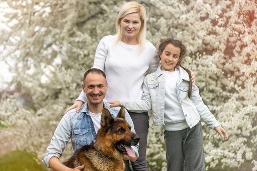 Family with small child and dog outdoors in orchard in spring