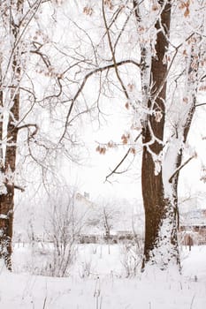 Snow-covered landscape of open spaces near the river. Snowy weather.