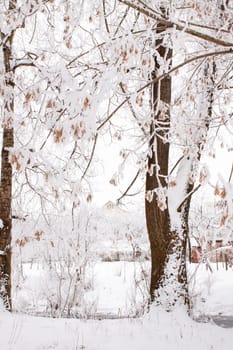 Snow-covered landscape of open spaces near the river. Snowy weather.