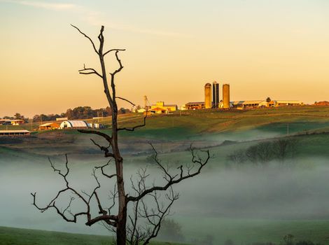 WVU husbandry farm center in Morgantown, West Virginia on a misty autumn morning