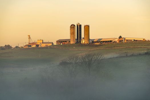 WVU husbandry farm center in Morgantown, West Virginia on a misty autumn morning