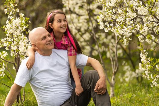 Grandfather And Granddaughter Walking the cherry trees.