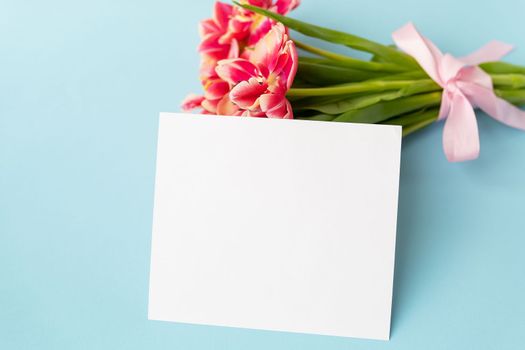 Very beautiful spring tulips on a blue paper background. Ready mokap, banner, place for an inscription