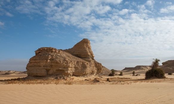 Landscape scenic view of desolate barren western desert in Egypt farafra oasis with rock formation on sand dunes and bushes