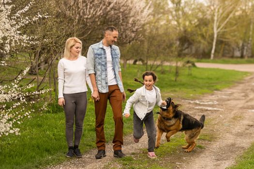 Family with small daughter and dog walking outdoors in orchard in spring.