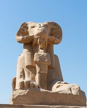 Large statue of ram headed sphinx in ancient egyptian Karnak Temple with lue sky background