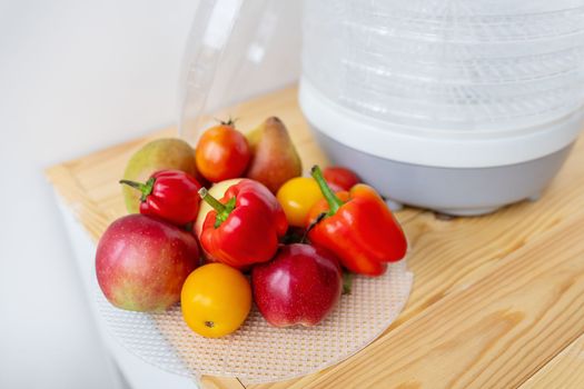 Electric dryer for dehydrating products. Different vegetables on the background of the device. Side view, close-up, natural lighting