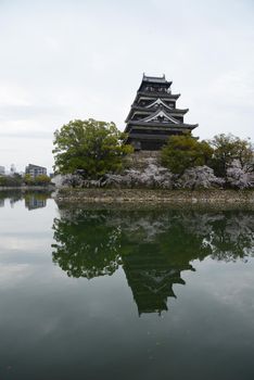 hiroshima castle with cherry blossom