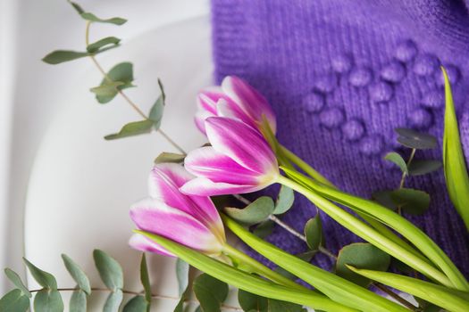 Beautiful purple tulip with eucalyptus on a white chair along with a purple sweater. Spring mood, March 8th