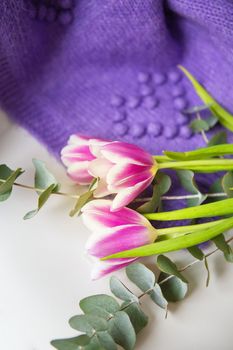 Beautiful bouquet of purple tulips with eucalyptus on a white chair along with a purple sweater. Spring mood, 8 March. Postcard for the holiday