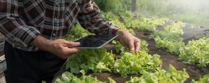 Farmer checking quality by tablet agriculture modern technology. Concept using modern technologies in agriculture. Man agronomist farmer with digital tablet computer...