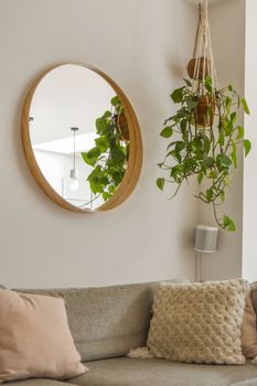 a living room with a couch, mirror and potted plant hanging on the wall in front of the sofa