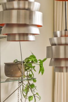 a plant in a pot on top of a shelf with many pots and pans hanging from it's sides