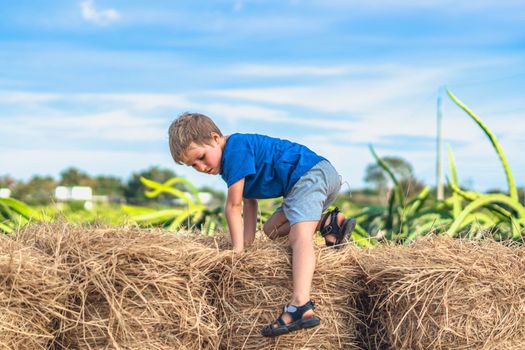 Boy blue t-shirt smile play climbs on down haystack bales of dry hay, clear sky sunny day. Outdoor kid children summer leisure activities. Concept happy childhood countryside, air close to nature.