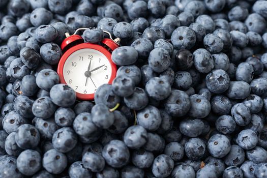 vintage alarm clock on blueberry background