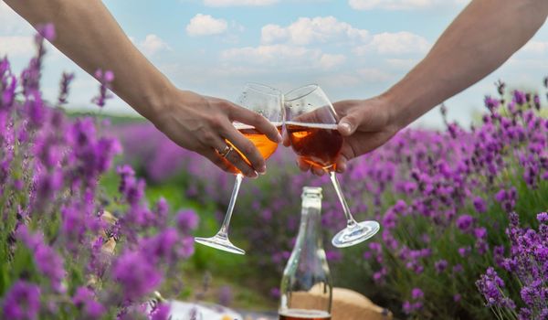 A man and a girl are holding glasses of wine on the background of a picnic in a lavender field. Selective focus