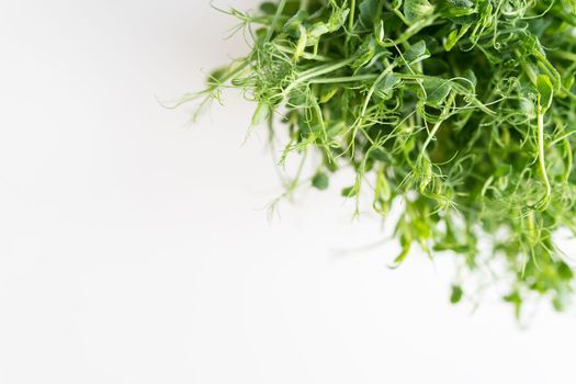 Vegetable pea sprouts, microgreens on white background, vegan health superfood. Top view, close-up, place for an inscription