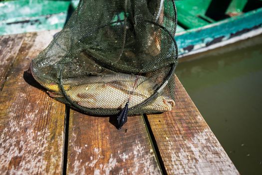 A fisherman with a fishing rod spins on the river bank. Fishing for pike, perch, carp - catch in the net. Wild nature. The concept of country rest