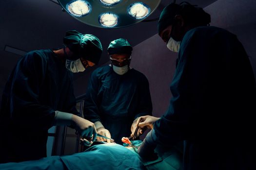 Surgical team performing surgery to patient in sterile operating room. In a surgery room lit by a lamp, a professional and confident surgical team provides medical care to an unconscious patient.