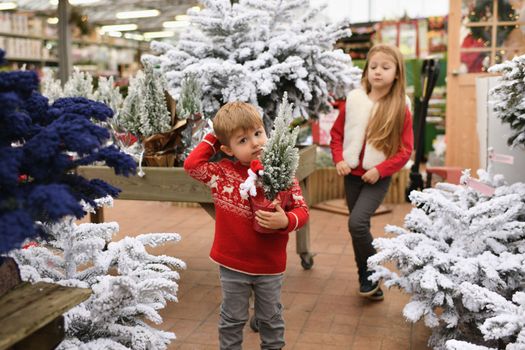 Children choose a Christmas tree at a market.