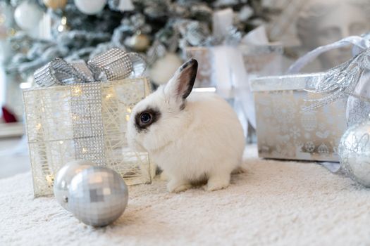 White rabbit with a gift under the tree as a symbol of the new year 2023