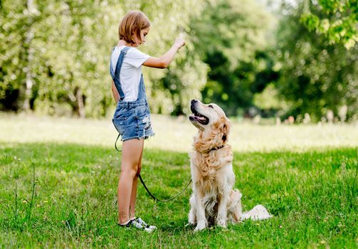 Cute little girl with lovely dog walking on summer meadow