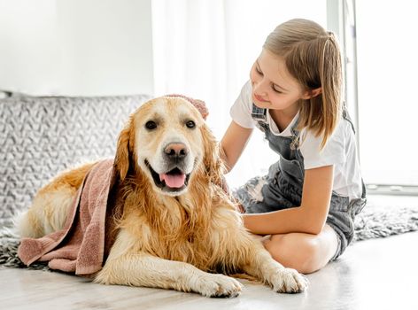 Preteen girl cares about golden retriever dog and cover doggy with blanket on floor. Pretty child kid with pet labrador friend indoors