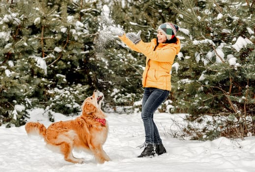 Golden retriever dog in winter time playing with girl owner in snow. Young woman walking with doggy pet in forest in cold weather