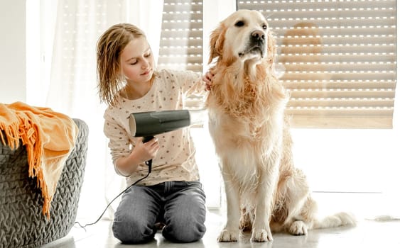 Preteen girl dries golden retriever dog wet hair with dryer after shower on floor. Pretty child kid cares about pet labrador friend indoors after bath