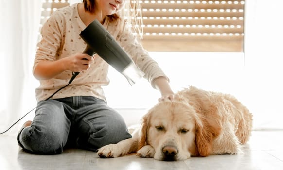 Preteen girl dries golden retriever dog wet hair with dryer after shower on floor. Pretty child kid cares about pet labrador friend indoors after bath