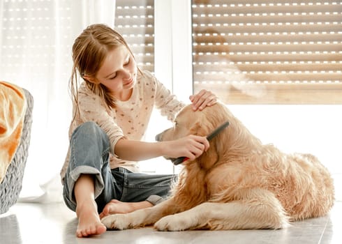 Preteen girl brushes golden retriever dog wet hair after shower and cleaning procedures at home. Pretty child kid with pet labrador friend indoors