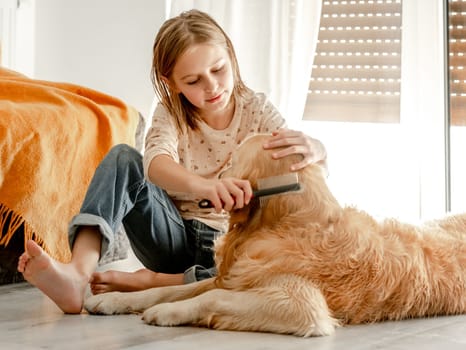 Preteen girl brushes golden retriever dog wet hair after shower and cleaning procedures at home. Pretty child kid with pet labrador friend indoors