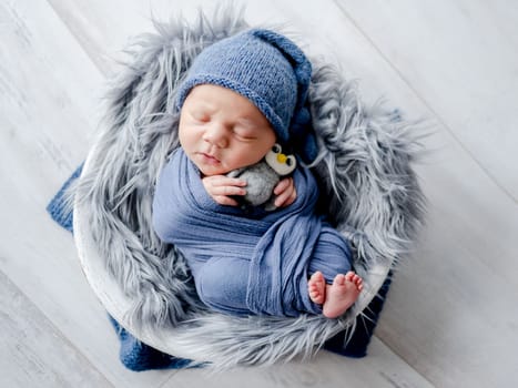Newborn baby boy swaddled in fabric holding bird toy and sleeping in basin studio portrait. Infant child kid napping