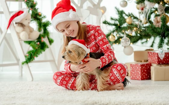 Child girl and dog wearing red Santa hats in Christmas time together. Female kid with doggy pet at home with New Year decoration