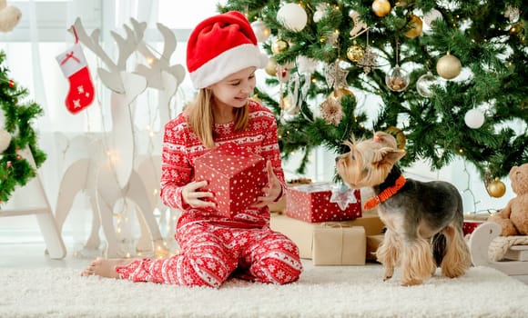 Child girl unpacks New Year gift boxes with dog york terrier at home. Kid and pet doggy celebrating holidays with Christmas tree