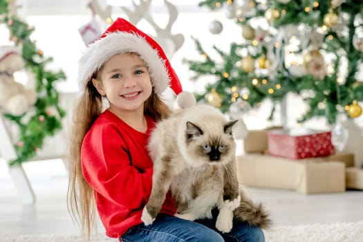 Child girl holding ragdoll cat in Christmas time, looking at camera and smiling. Pretty kid wearing Santa hat with domestic animal at home in New Year