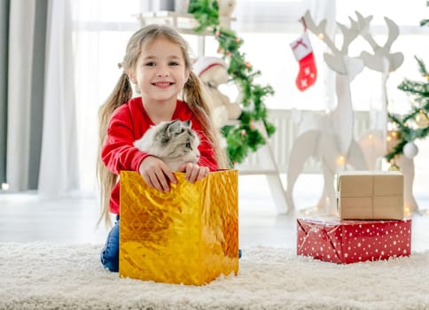 Child girl get ragdoll cat out from gift box in Christmas time and smiling. Pretty kid wearing Santa hat with domestic pet at home in New Year holidays