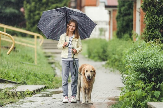 Preteen girl with golden retriever dog in rainy day walking outdoors in city park under umbrella. Cute kid child with labrador pet doggy outside with tunder weather